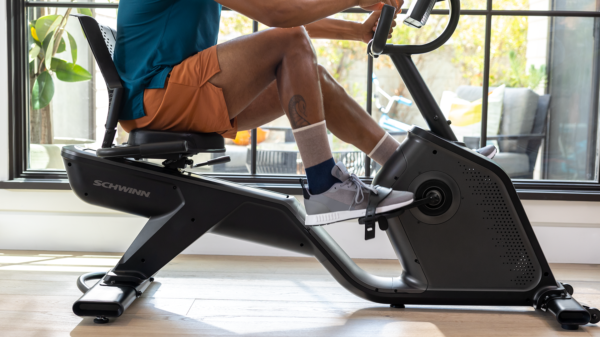 Schwinn 290 Recumbent Bike