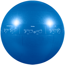 GoFit 55cm Pro Stability Ball