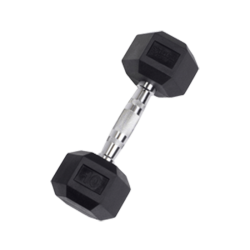 10 lb Rubber Coated Hex Dumbbell