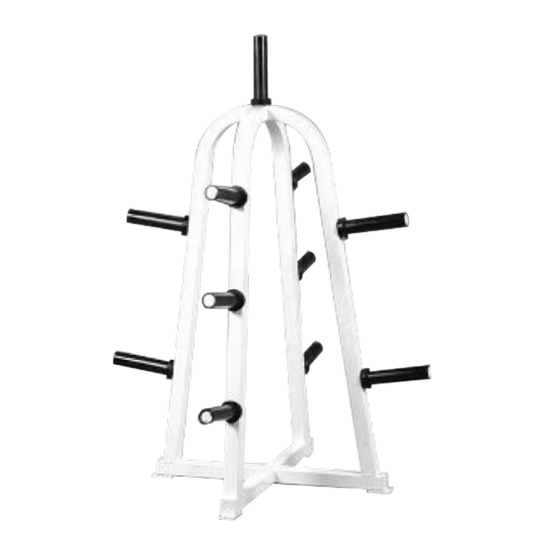 Four Sided A-Frame Olympic Plate Holder