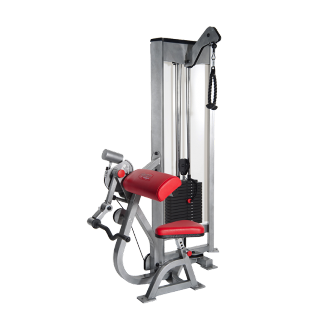 Raptor Seated  Arm Curl - Standing Tricep -  150lb Weight Stack