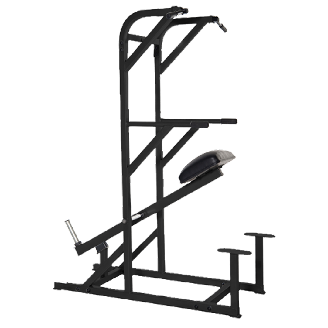 Weight Assisted Chin/Dip - Plate Loaded