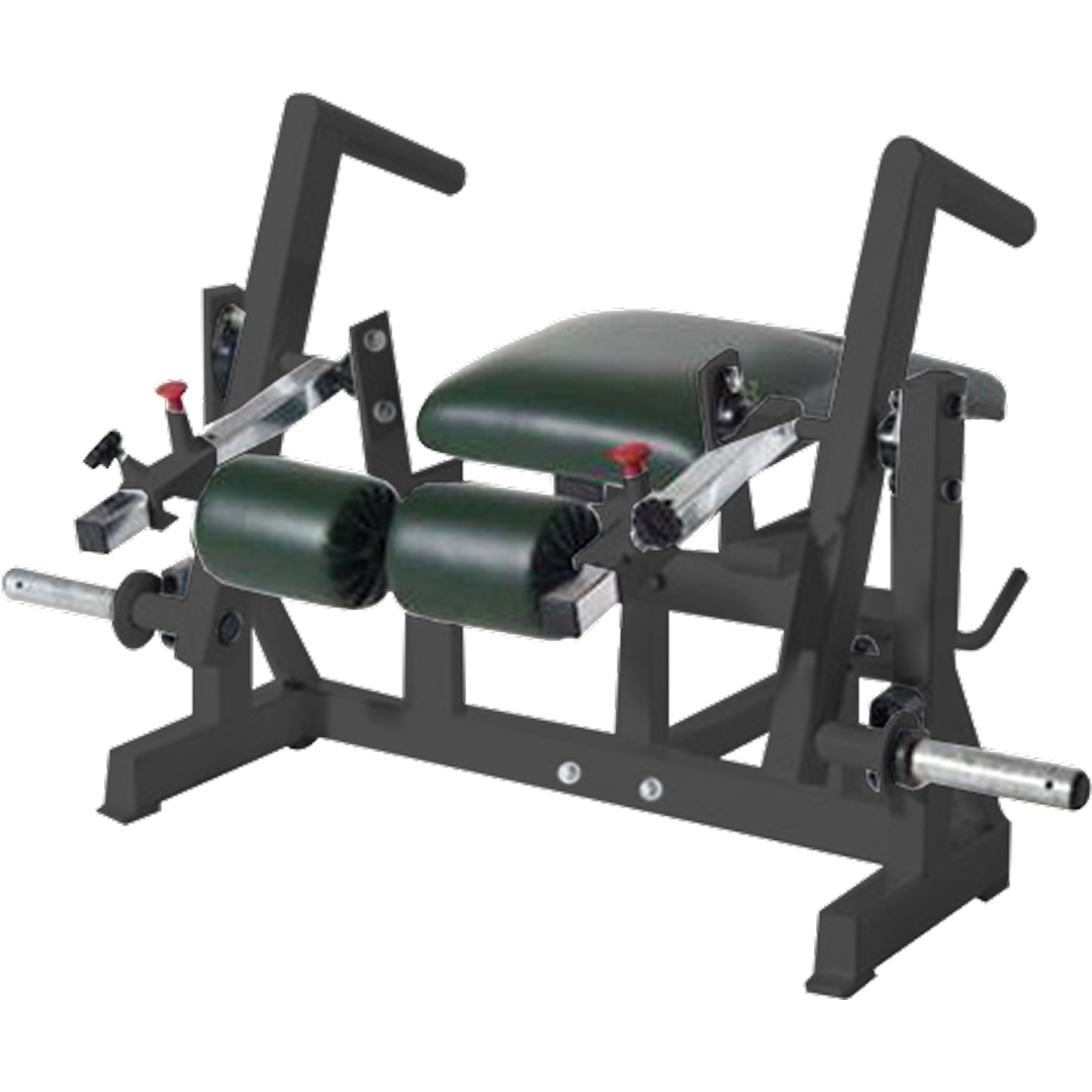 Unilateral Prone Leg Curl w/ ROM