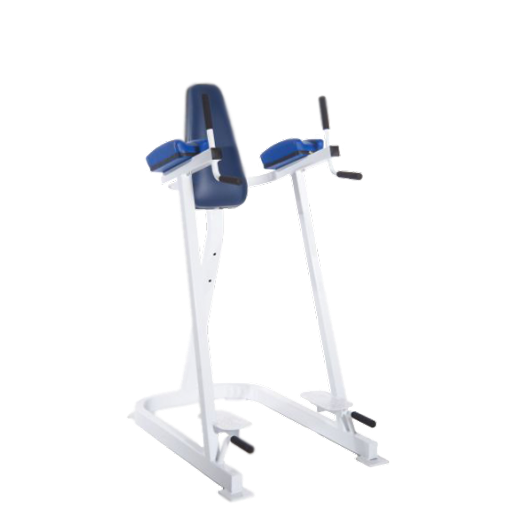 Leg Raise / Dip and Push Up - VKR