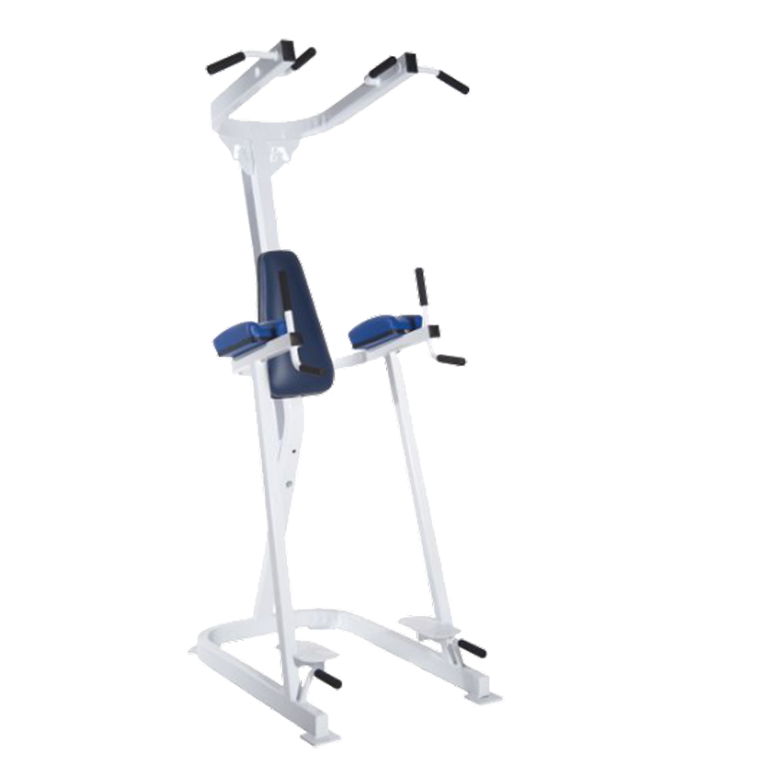 Leg Raise / Chin Up / Dip and Push Up